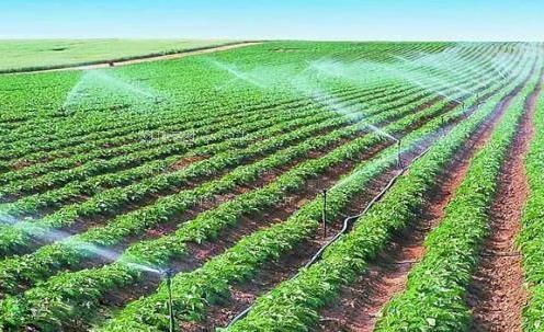 操骚笔视频农田高 效节水灌溉